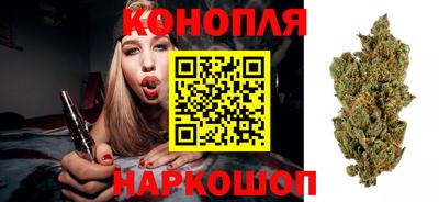 индика Лесосибирск