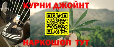 индика Лесосибирск